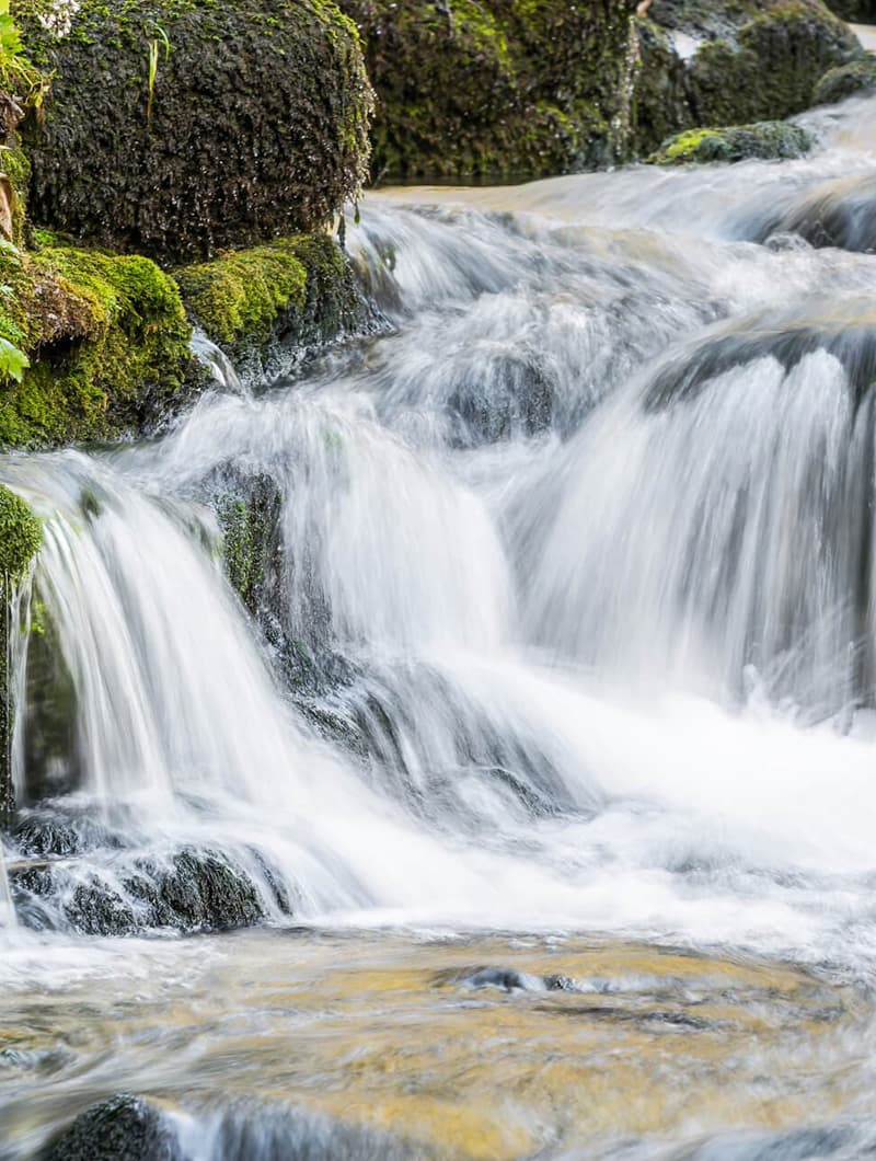 Tu salón de belleza saludable en Santiago